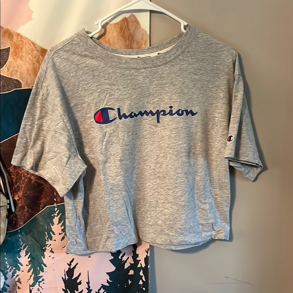 Cropped Champion Gray T-Shirt